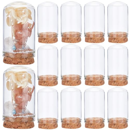 CRASPIRE 10 cúpula de Cristal con Base de Corcho, Campana de 1.2 x 2 Pulgadas, Mini Soporte de Exhibición, Cubierta para Bricolaje, Vial, Terrario, Cabujones, Contenedor, Decoración de Madera para