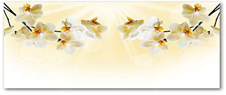 Tulup Glas-Bild Wandbild aus Glas - Wandkunst - Wandbild hinter gehärtetem Sicherheitsglas - Dekorative Wand für Küche & Wohnzimmer 125x50 - Blumen & Pflanzen - Orchidee - Beige