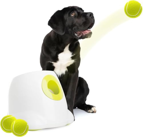 ALL FOR PAWS Automatisk hundboll launch, interaktiv hundboll kastare för stora och stora hundar, uppladdningsbar interaktiv valp husdjur hämtning leksak med 3 m (10-40 fot) 3 st 6,3 cm (2,5 tum