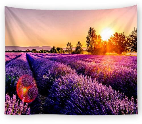 Uixxducc Lavendel Wandteppich Wald Wandtuch Wand Natur Landschaft Tapisserie Himmel Wandbehang Deko Wohnzimmer Schlafzimmer (100x75cm,F)
