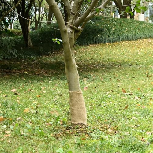 Mokuyary Rouleau de Jute 0,25x50 m 100% Jute 200 g/m² pour Jardin, Terrasse