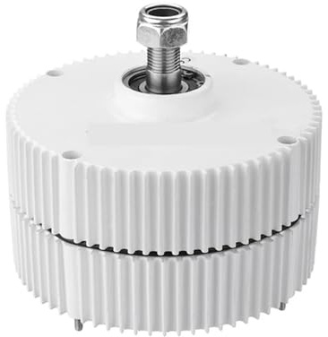 QZCX Aerogenerador Eolico, Alternador pequeño, generador de imán Permanente de Bajas RPM, 1000W, 12V, 24V, 48V, Motor de turbina eólica DIY, Tres Fases(No Base,Single Shaft_12V_1000W)