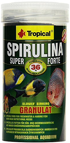 Tropical Super Spirulina Forte Granulatfutter mit 36% Spirulina (Platensis) Anteil, 1er Pack (1 x 250 ml)