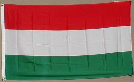 Buddel-Bini Flagge Fahne ca. 90x150 cm : Ungarn Ungarnflagge Nationalflagge Nationalfahne