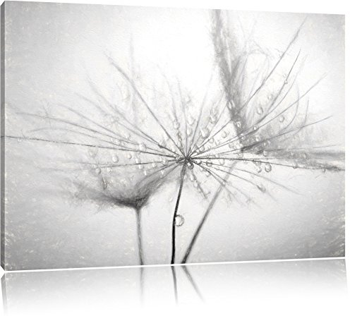 Pixxprint Pusteblume bedeckt mit Tropfen, Größe: 80x60cm, Leinwandbild, fertig gespannt, Wandbild, Dekoration, Kunstdruck, kein Poster