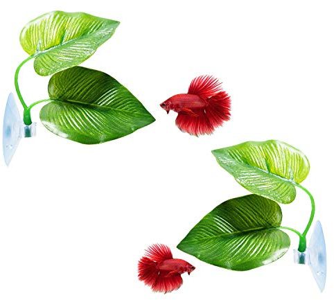 CousDUoBe 2 Pack Betta Fish Leaf Pad Improves Betta's Health by Simulating The Natural Habitat - Natural, Organic, Comfortable Rest Area for Fish Aquarium Ornaments