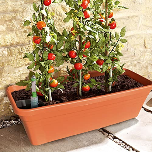 Self Watering Tomato Planter - 100cm Portable Vegetable Planter - Holds 7L of Water & 18L of Compost - Ingenious Tomato Planter Self-Waterer, Flower Bed Veggie Patch Indoor Outdoor H19.5xW100xD17cm