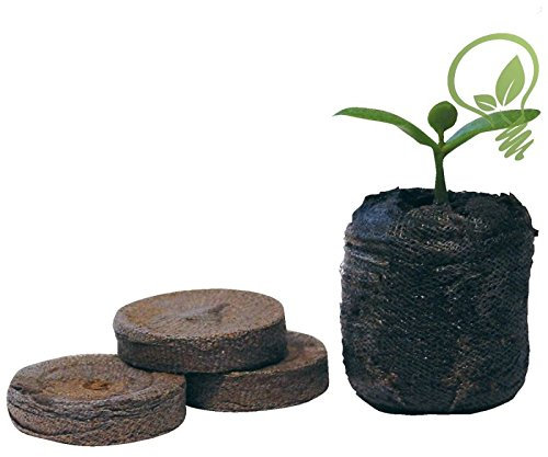 Lot de 100 granulés de graines de tourbe Jiffy 7 24 mm