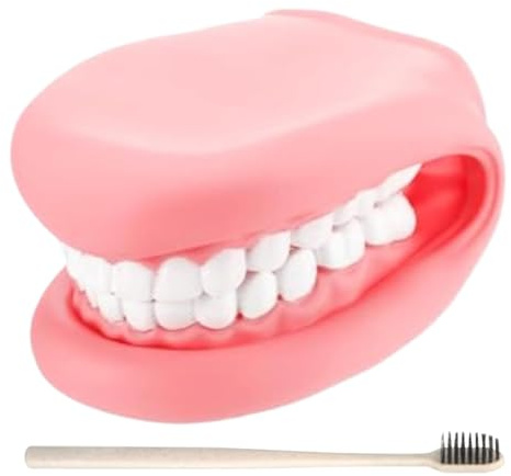 Modèle Dentaire Pédagogique – Marionette À Main Bouche | 5,91 Pouces PVC | Jouet Éducatif Interactif Avec Brosse à Dents Pour Enfant, Outil De Demonstration Réaliste Pour Hygiène Et Créativité