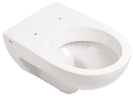 Geberit 203040000 Rénova Cuvette Suspendue, Blanc, 54 x 35,5 x 34 cm