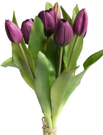 Botanic-Haus künstliches Tulpenbündel/künstlicher Tulpenbund Sandy mit 4 Tulpen und 3 Tulpenknospen Farbe: aubergine real Touch
