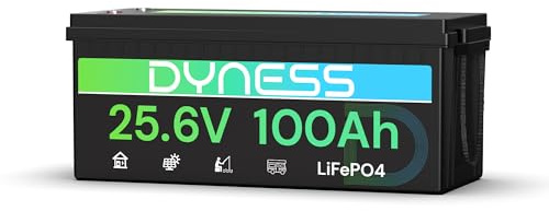 Dyness Batteria Litio LiFePO4 24V 100Ah con 100A BMS e Protezione Bassa Temperatura, Batteria 24V per Fotovoltaico Accumulo, Barche da Pesca Bass, Sistemi di Energia Rinnovabile, Camper (RV), Off-Grid