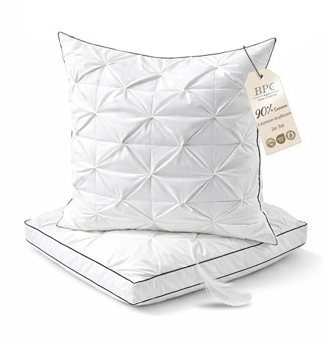 BPC Oreiller Plumes et Duvet d'oie 60x60 cm Lot de 2, 3 Chambres