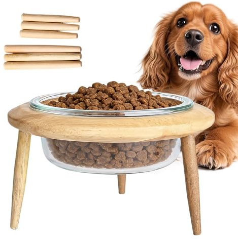 Gamelles surélevées pour chat, avec support contre les vomissements, gamelle surélevée réglable en hauteur | Pour la maison, le salon, la cuisine, la chambre à coucher, la salle de jeux, l'appartement