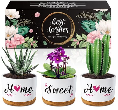 Buioata New Home Gifts, 'Home Sweet Home' Succulent Pots, House Warming Gifts for Couple, Housewarming Gifts for Friends Neighbor