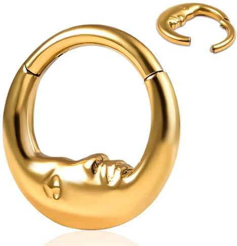 Vankula Septum Piercing Ring G23 Titanium Hinged Segment Clicker 8mm 10mm 16g Nasenpiercing Helix Rook Daith Tragus Piercing Schmuck für Frauen und Männer Gold Silber