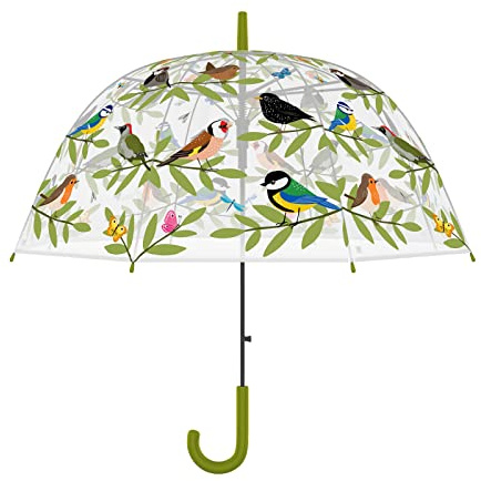 Regen Schirm Transparent Vögel Stock Automatik Vogel Erwachsene Bunt Regen