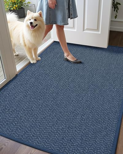 Color&Geometry Felpudo Entrada Casa 60 x 120 cm, Alfombra Entrada Grande Interior/Exterior Lavable Antideslizante, Tapete Entrada Absorbente Resistente a Las Manchas, Azul