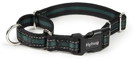 Hyhug Pets Verstellbares Martingale-Hundehalsband mit Schnellverschluss-Schnalle, farbecht, strapazierfähig, kein Ausgehen, Training, rutschfestes Welpenhalsband (reflektierendes Grün, Größe L)