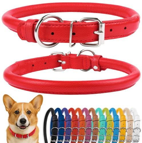CollarDirect Rundes Leder Hundehalsband, weich gepolstert gerollt, handgefertigtes Echtleder Halsband für Hund Welpe Katze Klein Groß Schwarz Rosa Rot Lila Blau