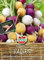 Sperli Graines de radis Combinaison III 82216 – Graines biologiques, 3 variétés, puissantes, épicées, légèrement épicées, récolte colorée pour votre potager, plantes pour 5 mètres courants