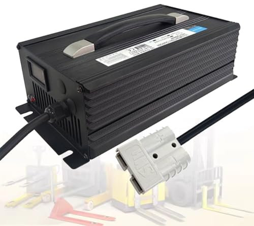 HYDTGZ Chargeurs de Batterie pour Chariot Élévateur 12 V 40 A/24 V 30 A/36 V 25 A/48 V 20 A/60 V 15 A/72 V 12 A Chargeur Batterie pour Transpalette Électrique, Chariot Élévateur, Voiture Club,24v 30a