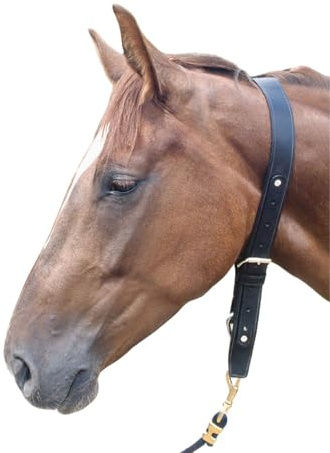 AMKA Halsriemen aus Leder mit Ring