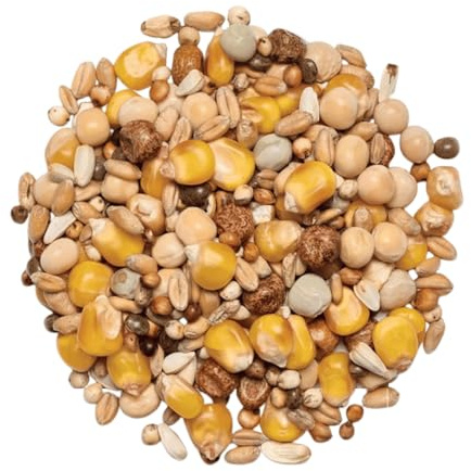 Countrywide Super Breeder Pigeon Feed Mix 20kg - Premium Quality Breeding Season Seed For Pigeons - High Protein - Dust Free