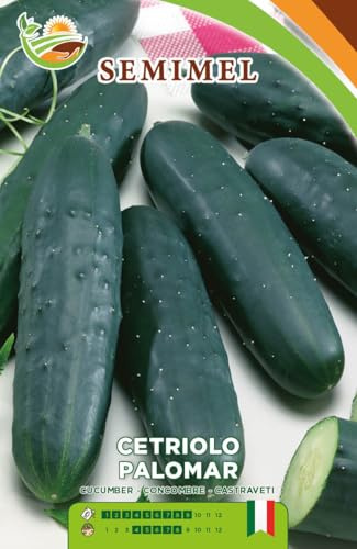 Semi di Cetriolo Palomar da Insalata – Varietà Produttiva e Resistente, Frutti Cilindrici Verde Intenso con Polpa Soda, Ideale per Orto Domestico e Coltivazione Facile 2 Confezioni