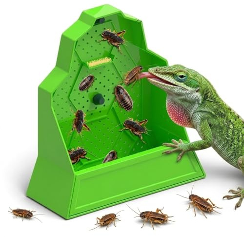 Läckagebeständig foderskål med läckagekant för gecko, bartagamn, kameleont och sköldpadda – praktiskt reptilfoder och vattenskål för terrarium