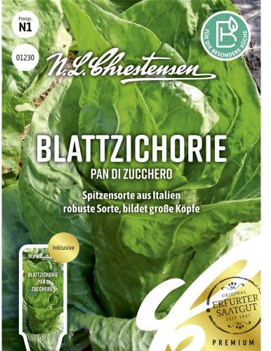 Endivie Breedblad Volhart Winter Samen, Saatgut