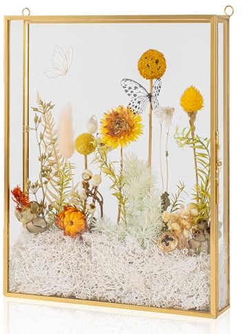 Shadow Box Frame 8x10, Deep Glass Shadow Box Display Case, 3D Shadow Boxes Picture Frame for DIY Wedding Dried Flowers, Memories, Tickets and Photos