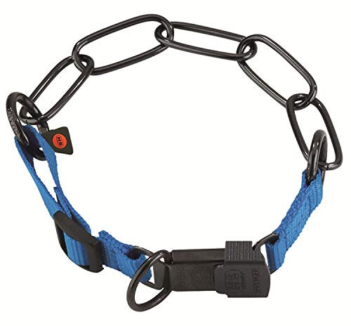 SPRENGER Halsband HALSKETTE verstellbar 60-65cm ClicLock für Hunde cyan