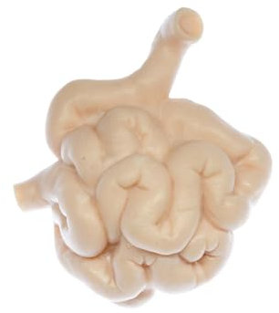 Miniblings Dünndarm Brosche Organ Anatomie Medizin Arzt Darm 3D - Handmade Modeschmuck I Anstecknadel Button Pins