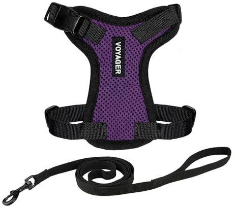 Voyager lås- och justerbar kattsele, med insteg och Kattkoppel, komboset med neoprenhandtag, 1,5 m, stöder små, medelstora och stora kattraser, lila/svart kant, XXXS