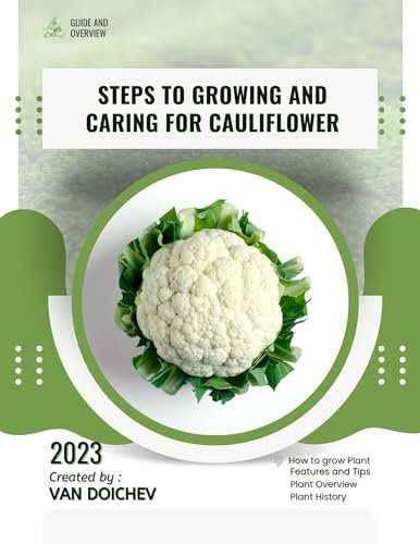Steps to growing and caring for cauliflower: Guide and overview