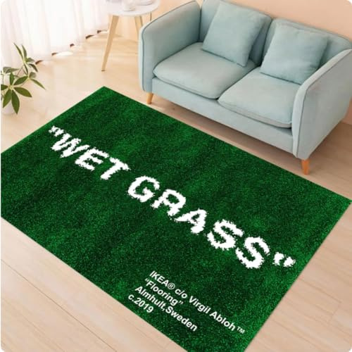 ZHANGCHENG Gras-Nass-Teppich, Grasmuster Für Wohnzimmer, Personalisierter Bunter Teppich, Geschenk 40X60CM