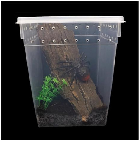 Terrarium Contenitori per Terrari Scatola Di Alimentazione For Rettili For Invertebrati Mantide Ragno Grillo Scatola Per Insetti Domestici