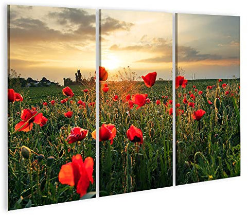 islandburner Bild auf Leinwand Mohnblumenfeld Bei Sonnenuntergang Bilder Wandbilder Poster