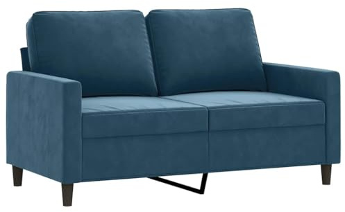 vidaXL Sofá de 2 Plazas, Sofá con Respaldo Reposabrazos, Sofá de Descanso Televisión, Asiento Tapizado para Salón, Terciopelo Azul