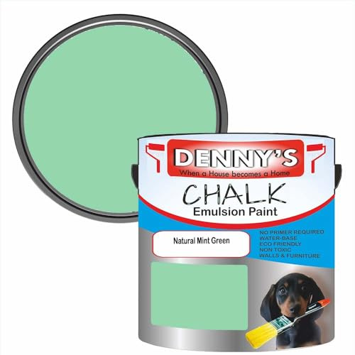 Premium Interior Wall & Furniture Chalk Paint – Natural Mint Green – Rich Matt Finish, Durable & Washable, Low Odour, Ideal for Living Rooms, Bedrooms & Hallways (250ML Tin)