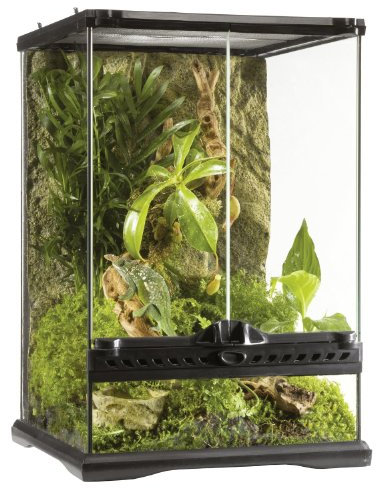 Exo Terra Terrarium aus Glas, mit einzigartiger Front Belüftung, 30 x 30 x 45cm