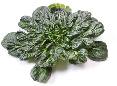 Just Seed Pak Choi - Tatsoi - Rossetta - 1500 Seeds - Large Pack
