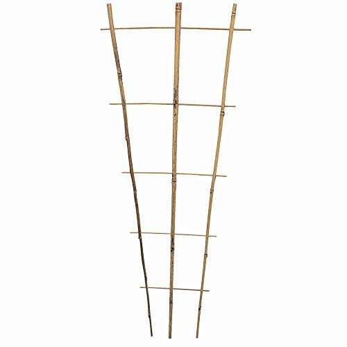 Siena Garden Treillis en Bambou 85 cm Naturel