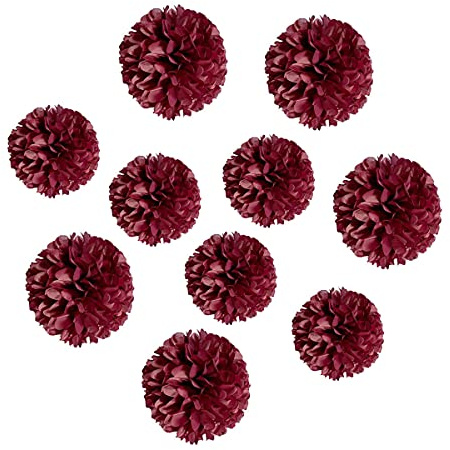 10 Stück Papier-Pompons Seidenpapier Blume Kunst Handwerk DIY hängende Blumen für Party Hochzeit Babyparty Krankenschwester Wanddekoration (20,3 cm + 25,4 cm, Burgunderrot)