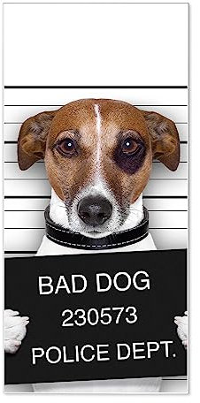 banjado® Magnettafel 37 x 78cm / Magnetwand aus Metall/Magnetpinnwand als Memoboard/Pinnwand Magnettafel Küche, Büro, Kinderzimmer inkl. 4 Magnete & Montageset - Motiv Bad Dog Jack Russel