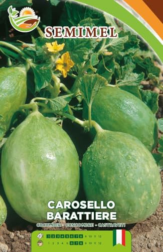 Carosello Barattiere Pugliese, 2 gr - Semi di Ortaggio con Frutti Sferici Giallo-Verdi, Polpa Croccante e Dolce Semina da Marzo a Giugno 3 confezioni