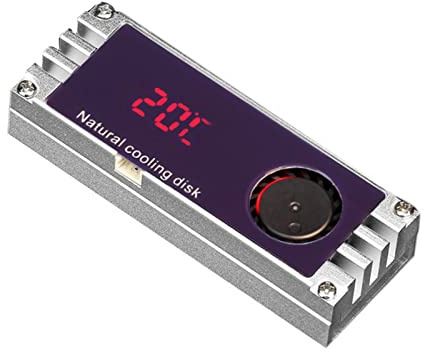 Laikoutd Cooler Dissipatore Calore SSD con Temperatura Digitale Display M.2 2280 22110 NVME Disk A Stato Solido Resk-radiatore