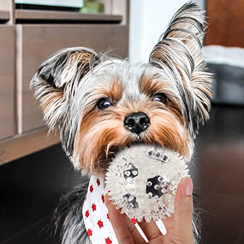 JOINPAYA Juguete de Goma para Perros y Gatos, Pelota Masticable Púas Resistente para Entrenamiento y Cuidado Dental en Casa