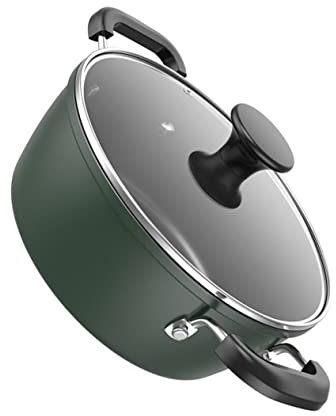 TOPBATHY Non-Stick Cast Iron Soup Pot Double Handle 22cm Household Stew Pot with Lid Blackish Green for Home Cooking